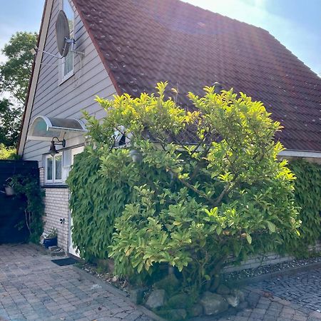 Gudrun 5 Pers Equipped House With Sauna. Dogs Are Welcome! Anjum Экстерьер фото